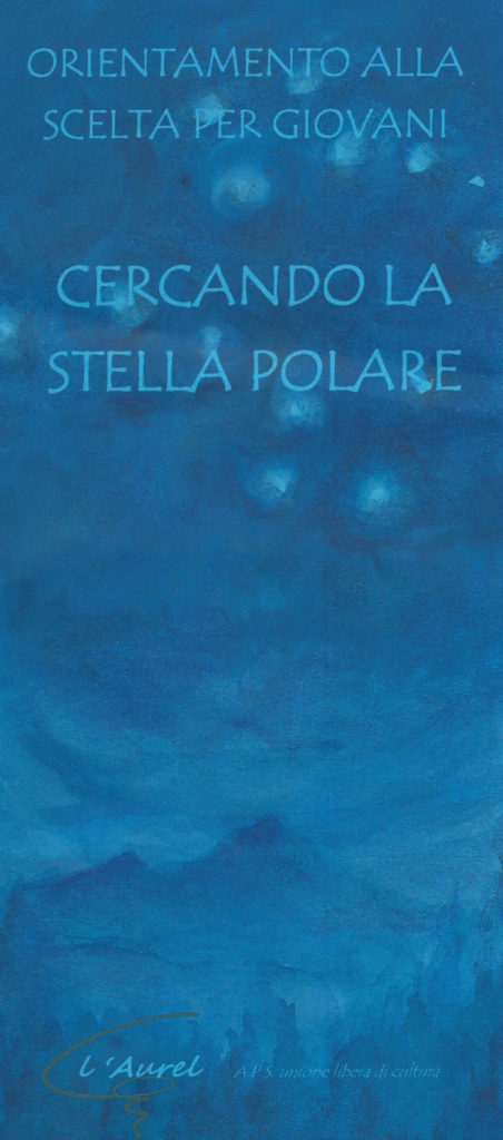 Stella polare